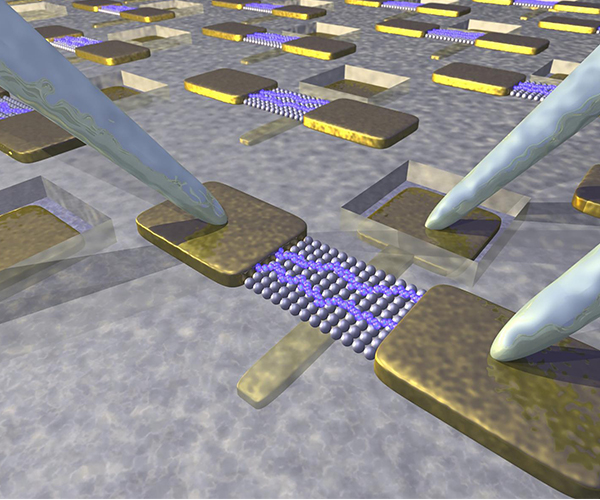 Biomedical nanosystems