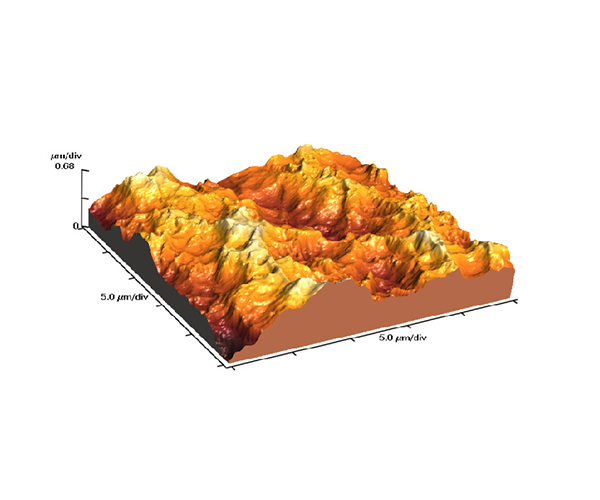 Biomedical nanosystems