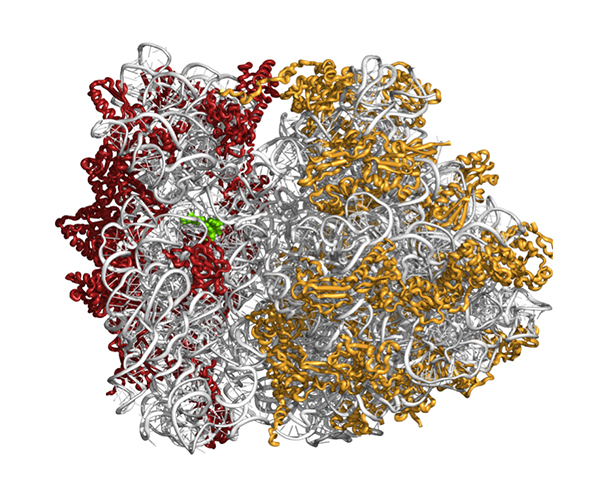 Nanoscale sensors